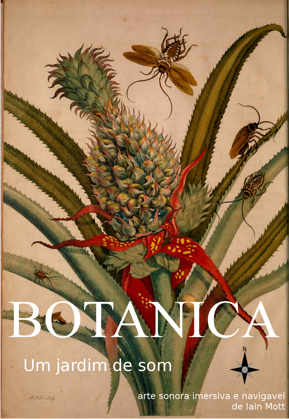 Botânica Poster