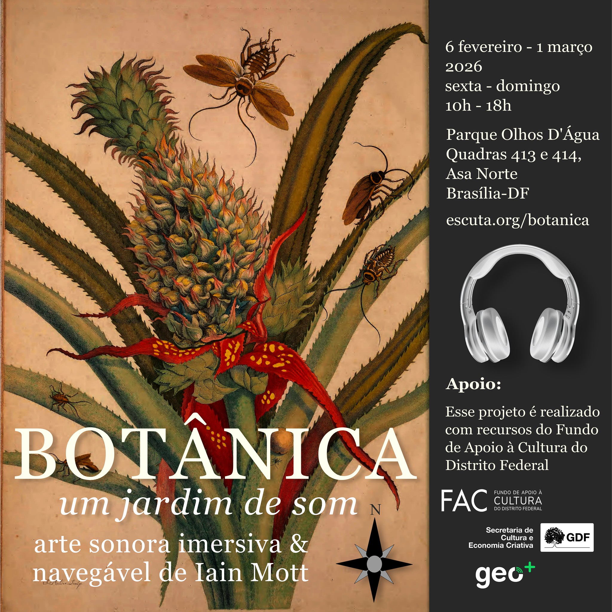 Botânica Poster