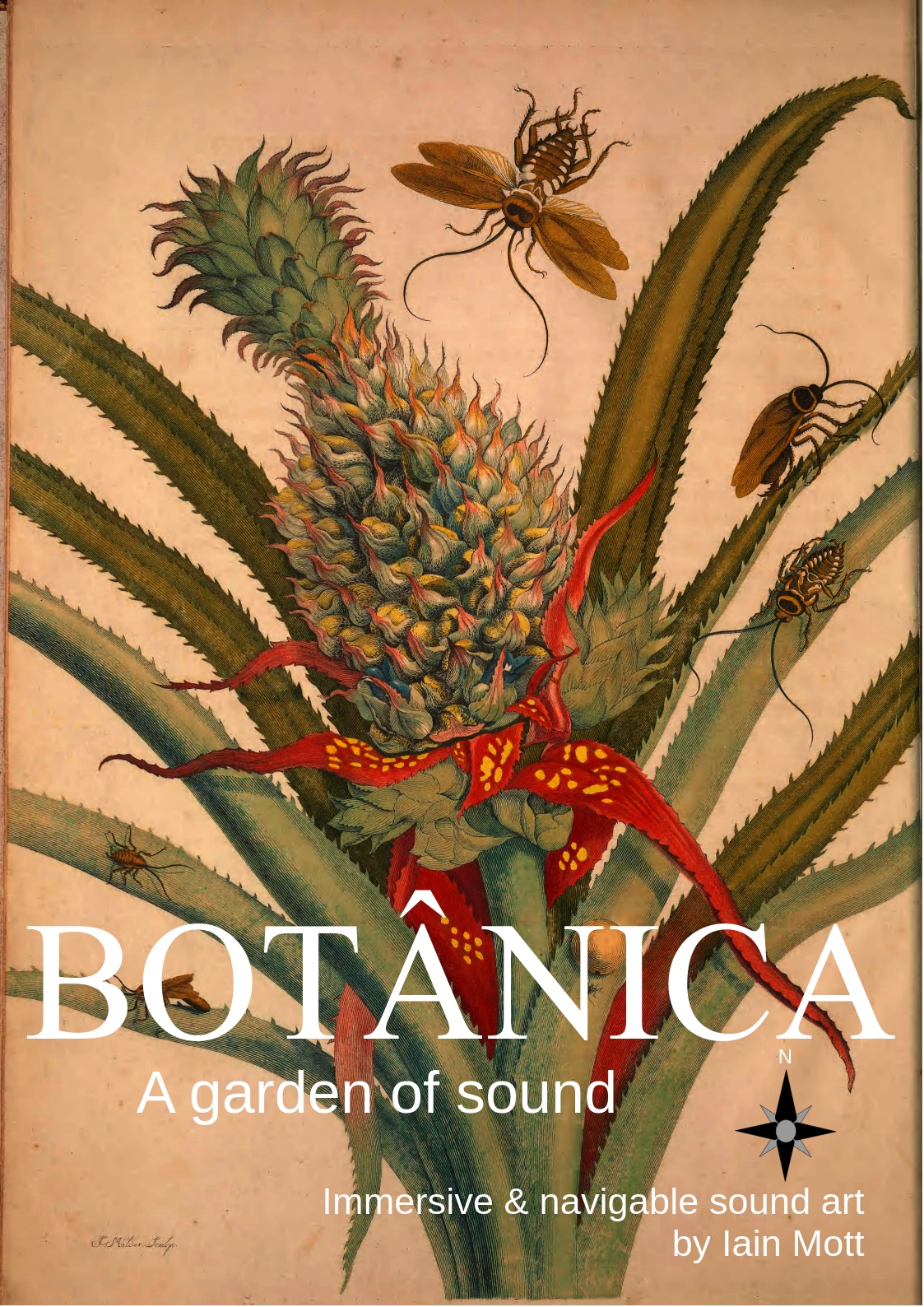 Botanica