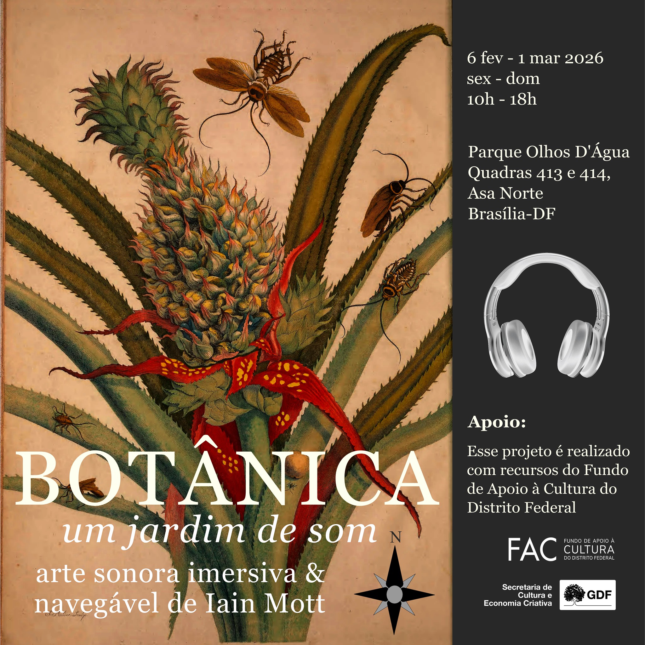 Botânica Poster